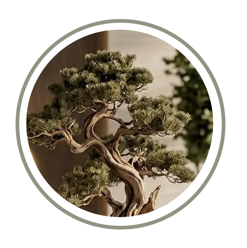 collection-img